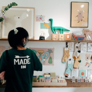 Dinosaur Figurine Collection